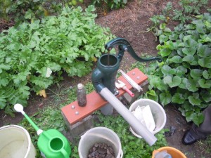 DSCN3283